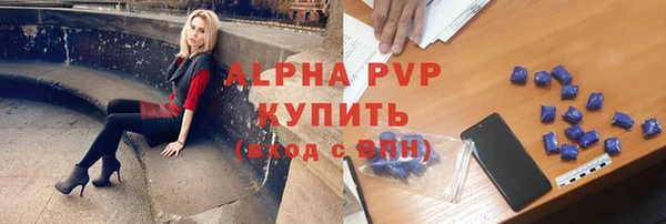 ПСИЛОЦИБИНОВЫЕ ГРИБЫ Абаза