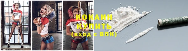 ПСИЛОЦИБИНОВЫЕ ГРИБЫ Абаза