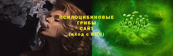 ПСИЛОЦИБИНОВЫЕ ГРИБЫ Абаза