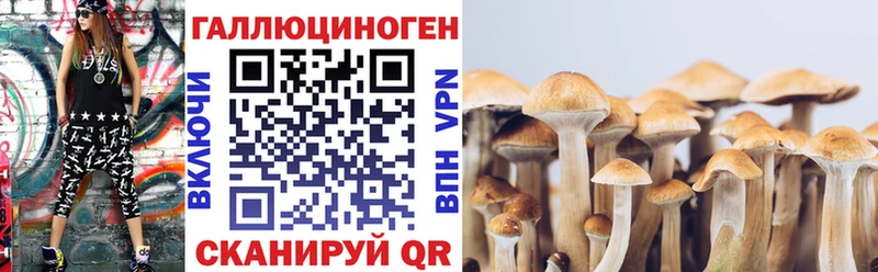 гидра вход  где купить наркоту  Ужур  Псилоцибиновые грибы Cubensis 